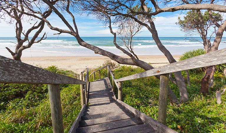 Brooms Head to Illaroo, Yuraygir National Park. Photo: Rob Cleary &copy; OEH