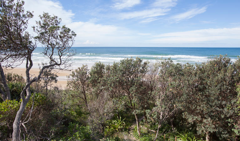 Brooms Head to Illaroo walking track, Yuraygir National Park. Photo: Rob Cleary &copy; OEH