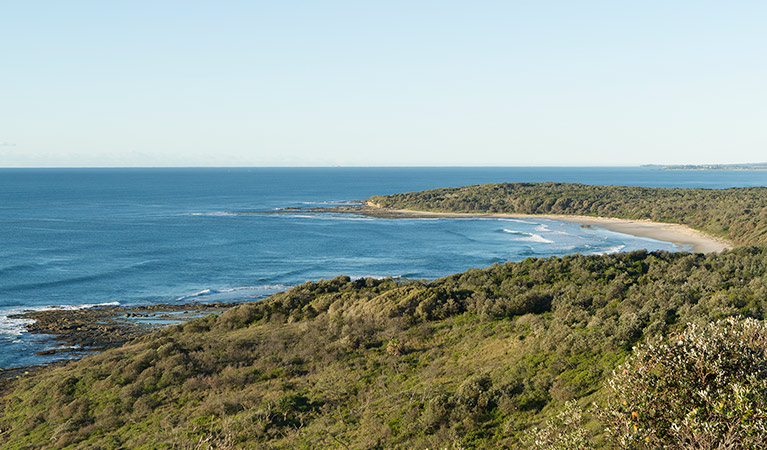 Brooms Head to Illaroo walking track, Yuraygir National Park. Photo: Rob Cleary &copy; OEH