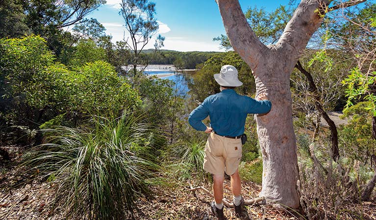 Corkwood and Scribbly Gum walking track, Yuraygir National Park. Photo: Rob Cleary &copy; OEH