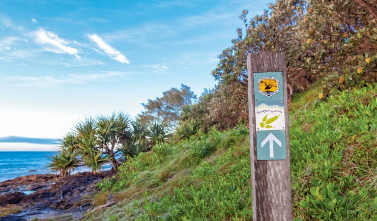 A marker along Freshwater track with Freshwater Beach in the background, in Yuraygir National Park. Photo: Rob Cleary &copy; OEH