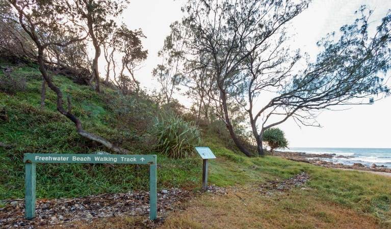 Signage along Freshwater track in Yuraygir National Park with Freshwater Beach in the background. Photo; Rob Cleary &copy; OEH