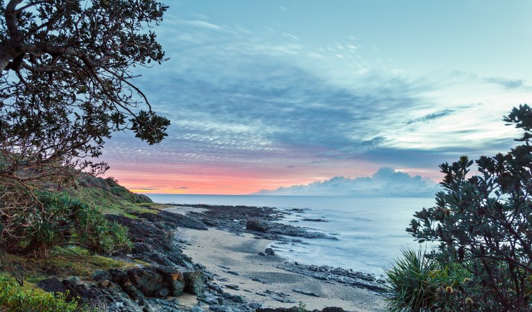 Freshwater Beach in Yuraygir National Park. Photo: Rob Cleary &copy; OEH