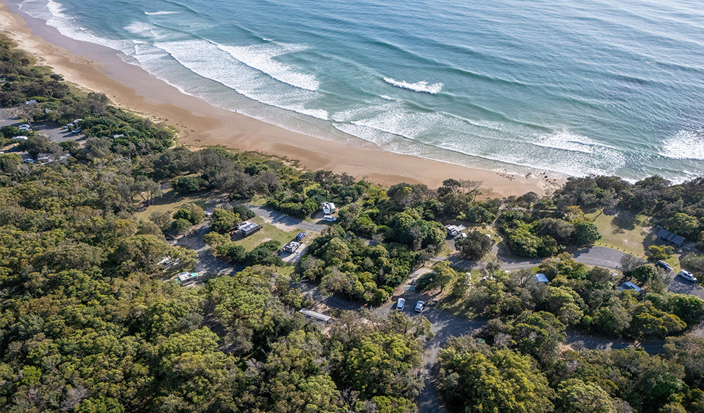 Campsites with tents in the distance surrounded by trees at Illaroo campground in Yuraygir National Park. Photo: Jessica Robertson &copy; DPIE