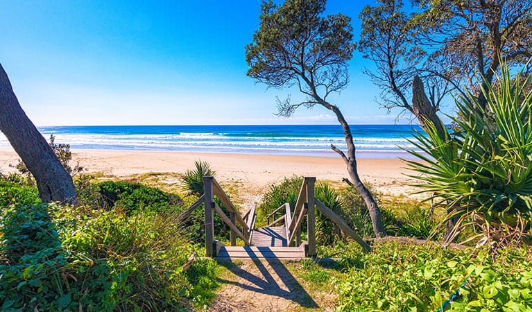 Stairs to the beach at Illaroo campground in Yuraygir National Park. Photo: Jessica Robertson &copy; DPIE