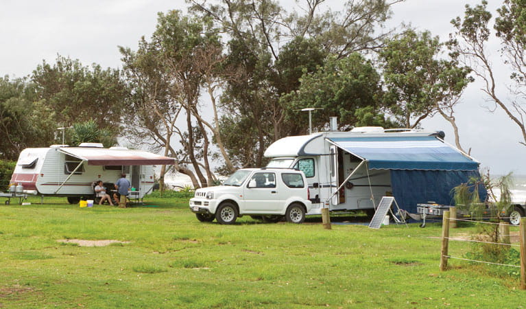 Caravans, Illaroo campground, Yuraygir National Park. Photo: Rob Cleary