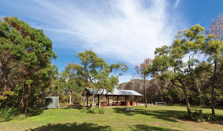 Illaroo campground, Yuraygir National Park. Photo: Rob Cleary/Seen Australia