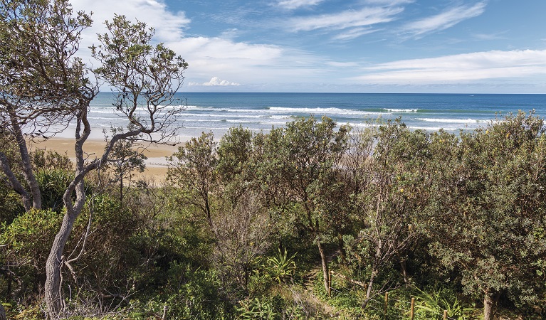 The beach at Illaroo group camping area, Yuraygir National Park. Photo: R Cleary Seen Australia/OEH