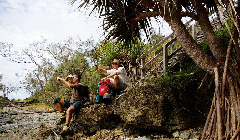 Illaroo to Wooli walking track, Yuraygir National Park. Photo: Debrah Novak &copy; OEH