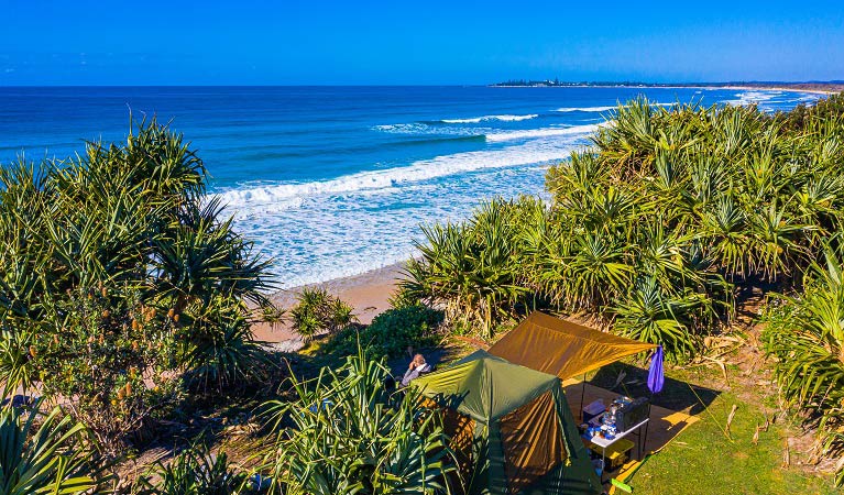 Tents set up amoung pandanus trees at Red Cliff campground, Lake Arragan in Yuraygir National Park