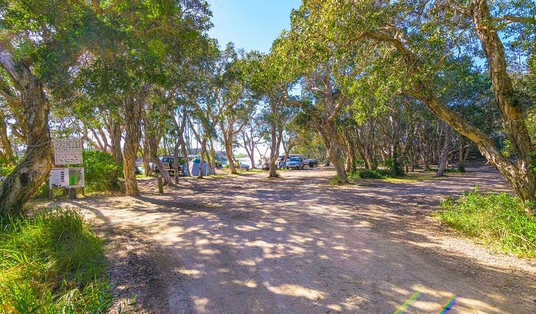 The entry to Lake Arragan campground with tents and cars in background. Photo: Jessica Robertson