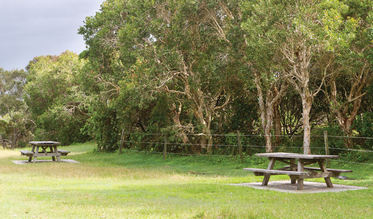 Picnic tables, Lake Arragan and Red Cliff campground. Photo: Rob Cleary