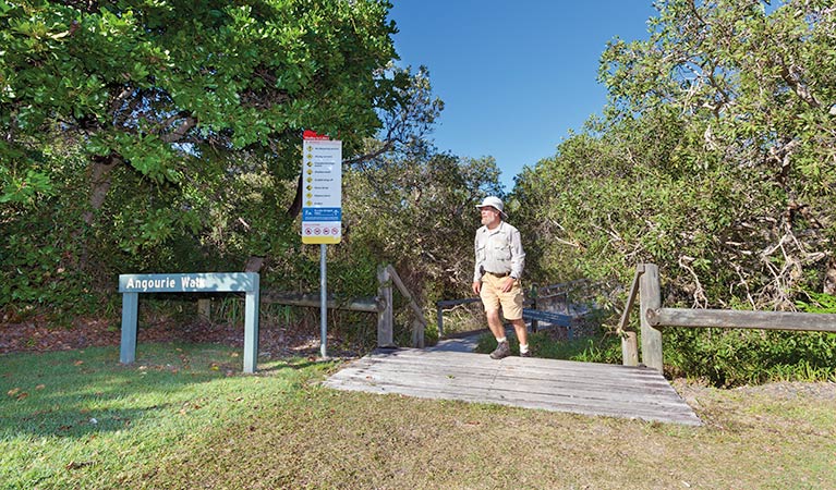 Mara Creek picnic area, Yuraygir National Park. Photo: Rob Cleary &copy; OEH