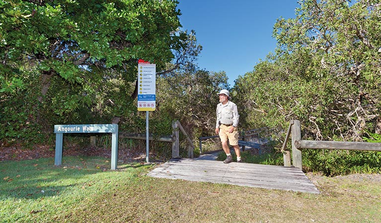 Mara Creek picnic area, Yuraygir National Park. Photo: Rob Cleary &copy; OEH