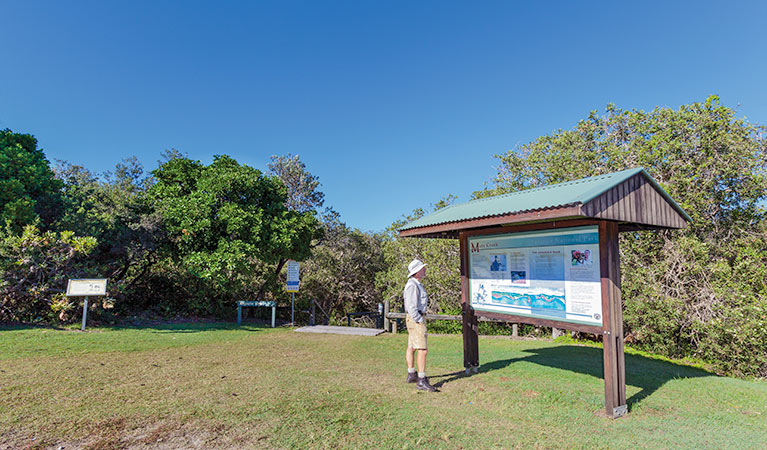 Mara Creek picnic area, Yuraygir National Park. Photo: Rob Cleary &copy; OEH