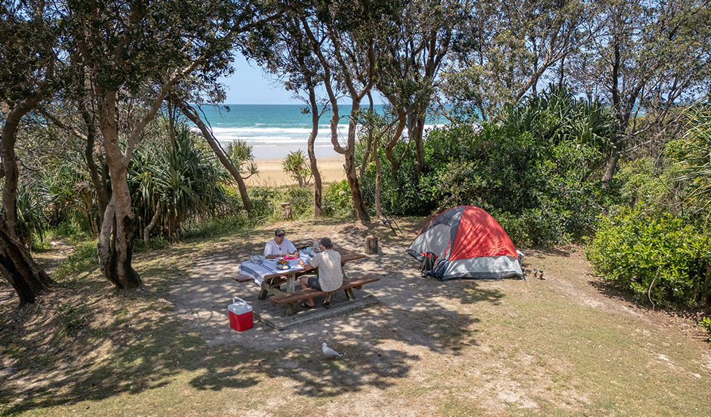 Campers at their campsite surrounded by trees with a glimpse of the beach at Illaroo campground. Credit: John Spencer &copy; DCCEEW