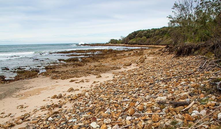 Rocky Point campground, Yuraygir National Park. Photo: Rob Cleary/DPIE