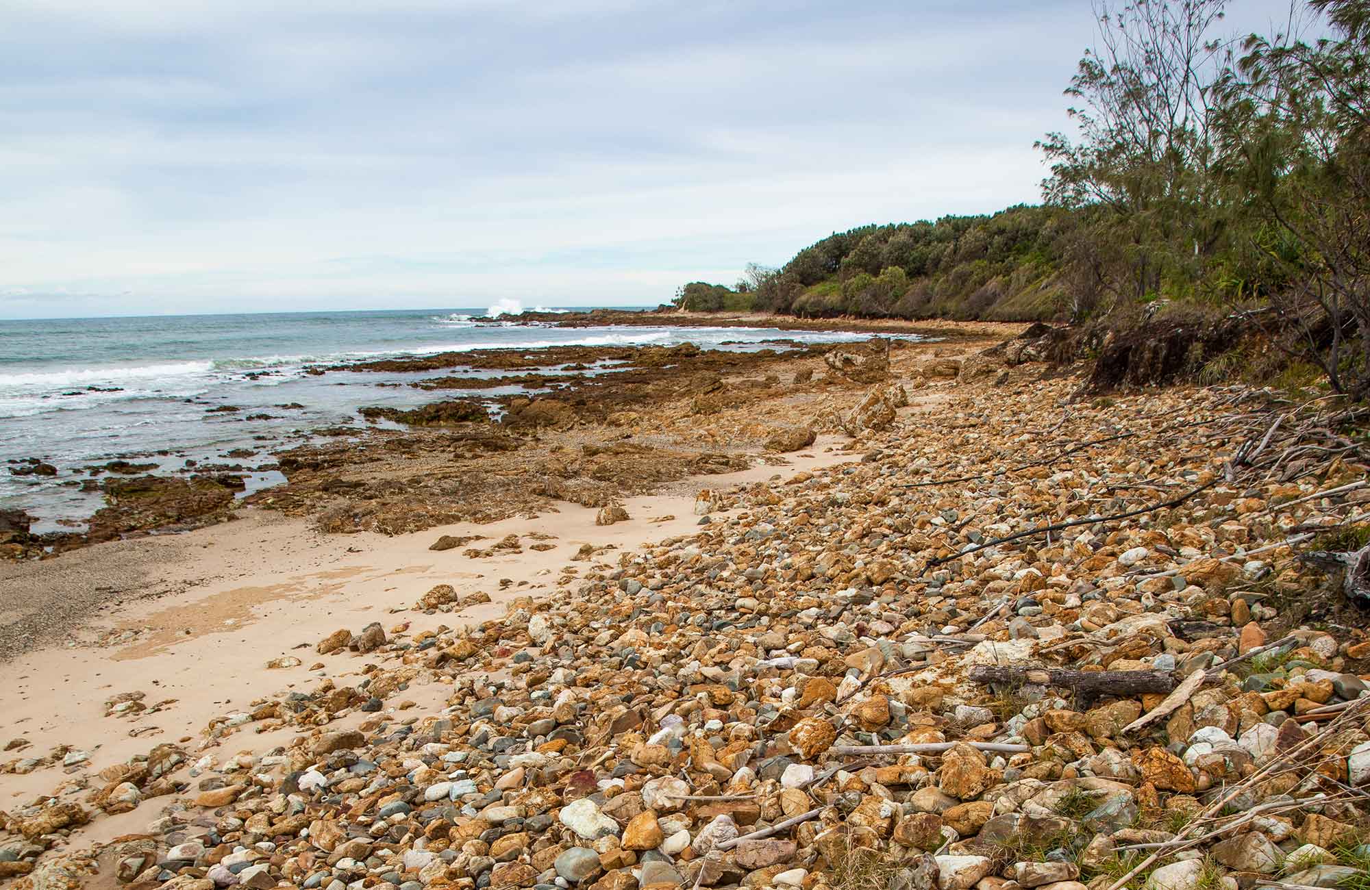 Rocky Point campground, Yuraygir National Park. Photo: Rob Cleary/DPIE
