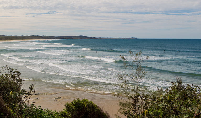 Rocky Point walking track, Yuraygir National Park. Photo: Rob Cleary &copy; OEH