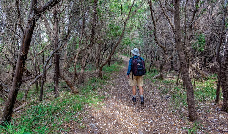 Rocky Point walking track, Yuraygir National Park. Photo: Rob Cleary &copy; OEH