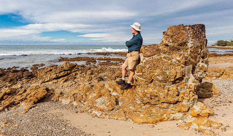 Rocky Point walking track, Yuraygir National Park. Photo: Rob Cleary &copy; OEH