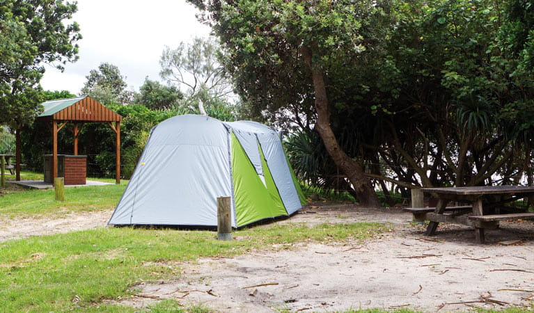 Tents at Sandon River campground, Yuraygir National Park. Photo credit: Rob Cleary &copy; DPIE