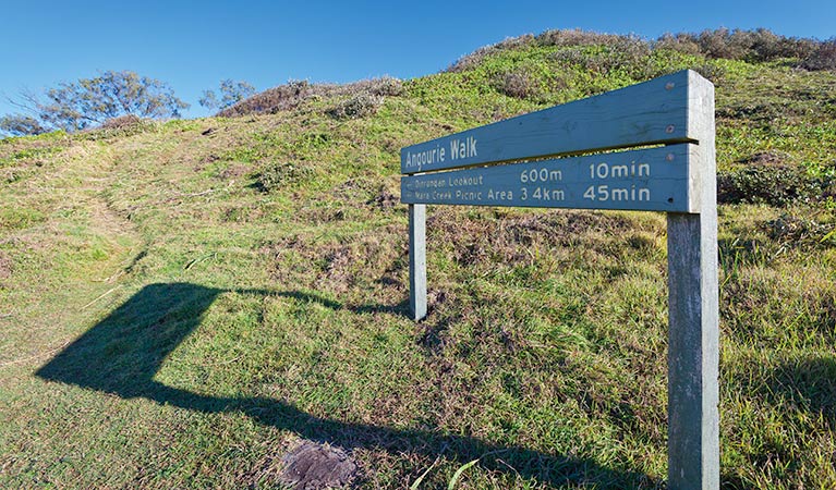 Shelley Head campground, Yuraygir National Park. Photo: Rob Cleary/NSW Government