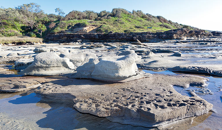 Shelley Head campground, Yuraygir National Park. Photo: Rob Cleary/NSW Government