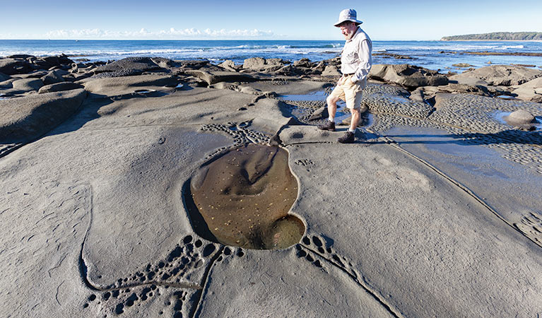 Shelley Head campground, Yuraygir National Park. Photo: Rob Cleary/NSW Government