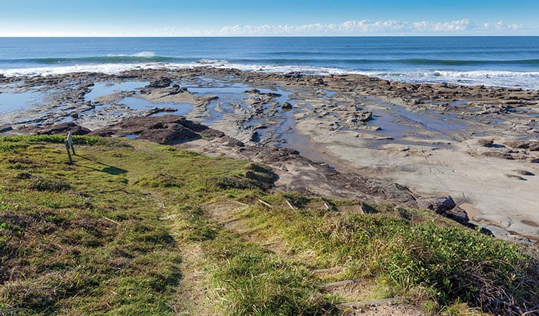 Shelley Head campground, Yuraygir National Park. Photo: Rob Cleary/NSW Government
