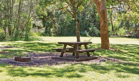 Station Creek campground, Yuraygir National Park. Photo: Rob Cleary/DPIE