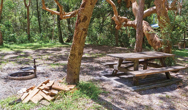 Station Creek campground, Yuraygir National Park. Photo: Rob Cleary/DPIE