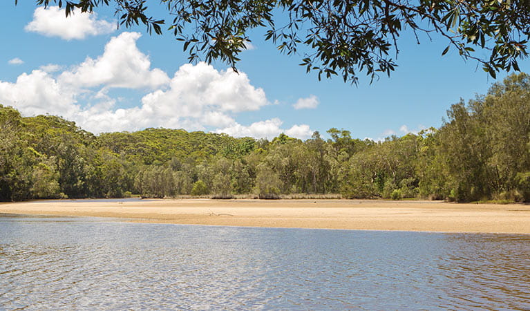 Station Creek campground, Yuraygir National Park. Photo: Rob Cleary/DPIE