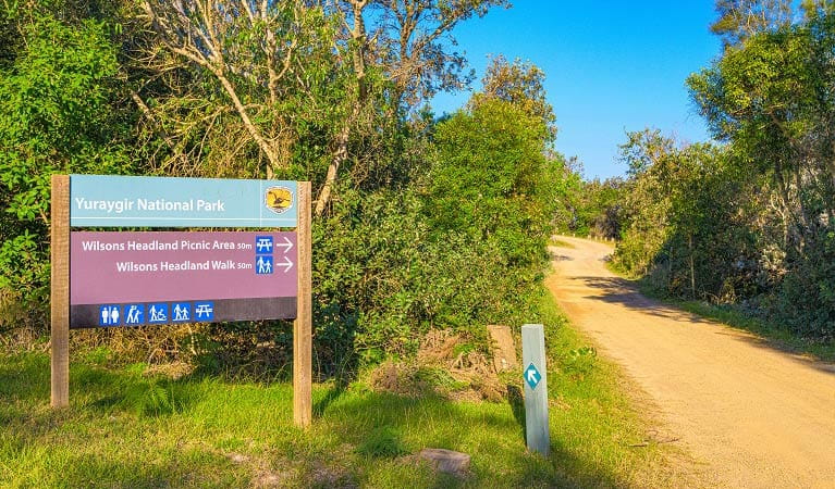 Sign at entrance to Wilsons Headland picnic area. Photo: Jessica Robertson