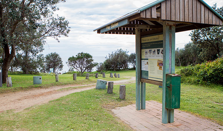 Wilsons Headland picnic area, Yuraygir National Park. Photo: Rob Cleary / Seen Australia