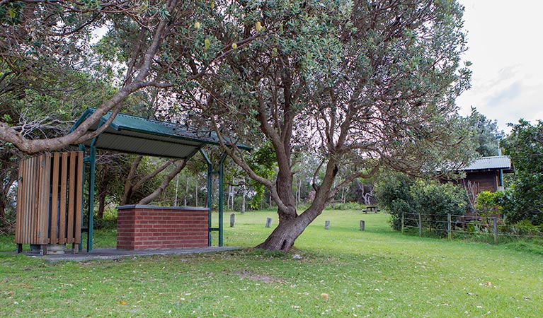 Wilsons Headland picnic area, Yuraygir National Park. Photo: Rob Cleary / Seen Australia