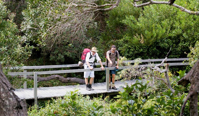 Wilsons Headland walking track, Yuraygir National Park. Photo: Jon Tunstall