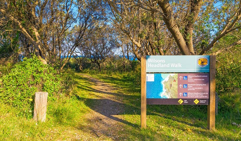 A sign at the start of Wilsons Head walking track. Photo: Jessica Robertson