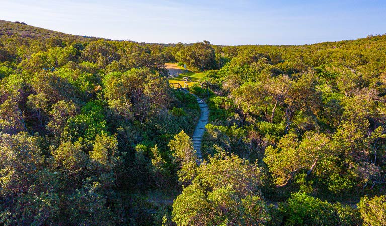 A walking track heading down hill among the bush. Photo: Jessica Robertson