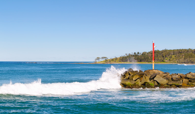 Wooli to Red Rock walking track, Yuraygir National Park. Photo: Rob Cleary