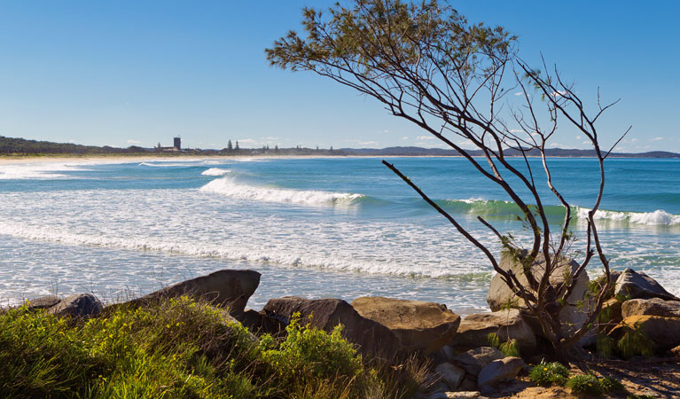 Wooli to Red Rock walking track, Yuraygir National Park. Photo: Rob Cleary