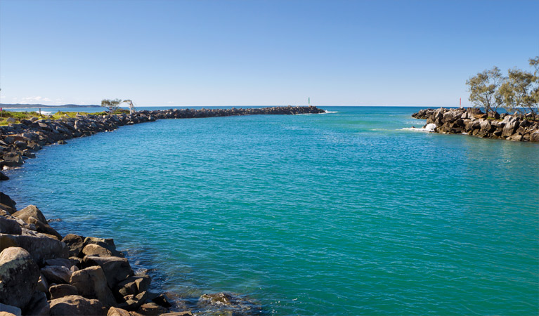 Wooli to Red Rock walking track, Yuraygir National Park. Photo: Rob Cleary