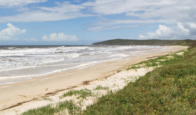 Beach views from the Yuraygir Coastal walk. Photo: Rob Cleary