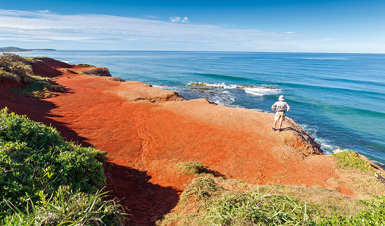 Red Cliffs, Yuraygir Coastal Walk, Yuraygir National Park. Photo: Rob Cleary