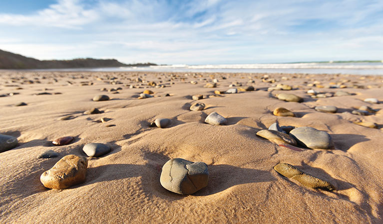 Beach along the Yuraygir coastal walk in Yuraygir National Park. Photo: R Cleary Seen Australia/OEH