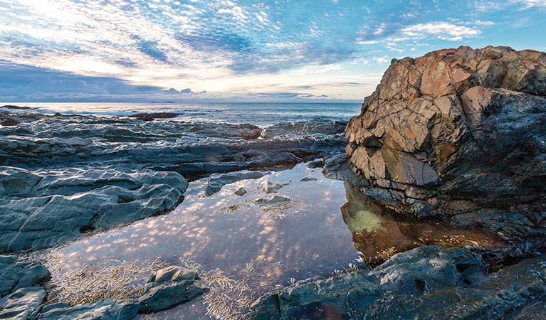 Freshwater Beach, Yuraygir National Park. Photo: R Cleary Seen Australia/OEH