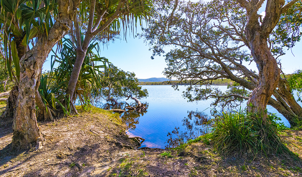 The view of the water from Red Cliff and Lake Arragon campgrounds, Yuraygir coastal walk, Yuraygir National Park. Photo: Jessica Robertson &copy; DPE