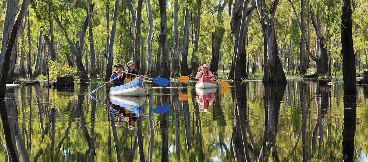 Canoeing near Barooga, Murray Valley National Park. Photo: David Finnegan/OEH