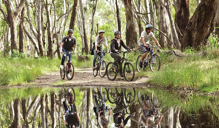 A group of people cycling in the Murray River region. Photo: David Finnegan &copy; DPIE