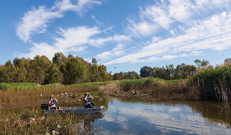 Birdwatching in the Murray-Riverina region. Photo: David Finnegan/OEH